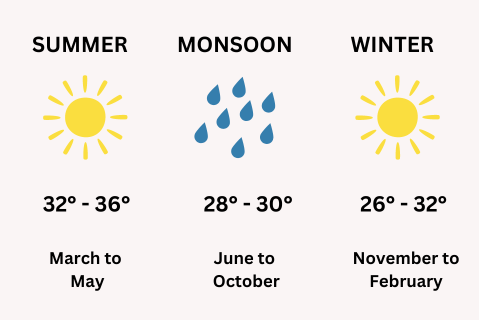 Navigating the Peak Season