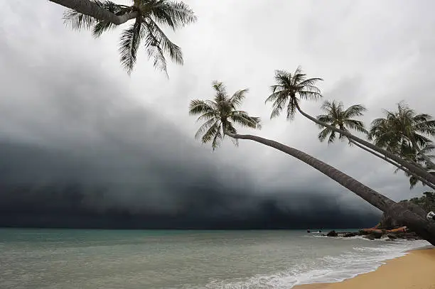 Monsoon in Goa