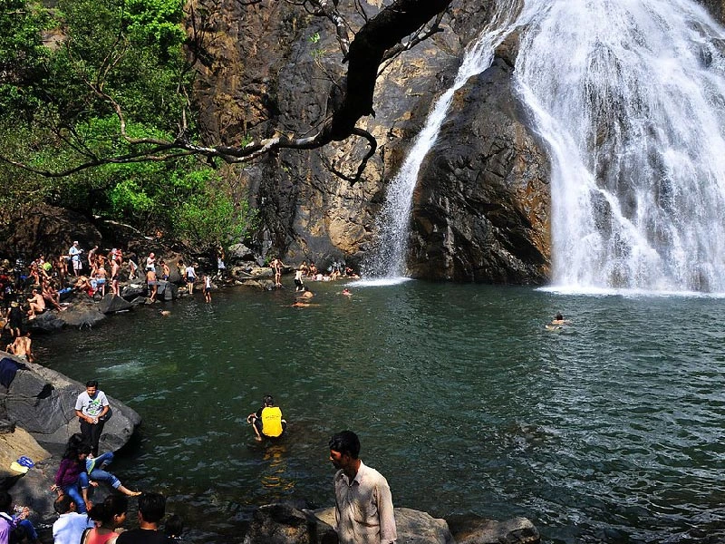 Dudhsagar Waterfalls Trek