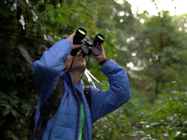 Ultimate Guide to Birdwatching in Goa