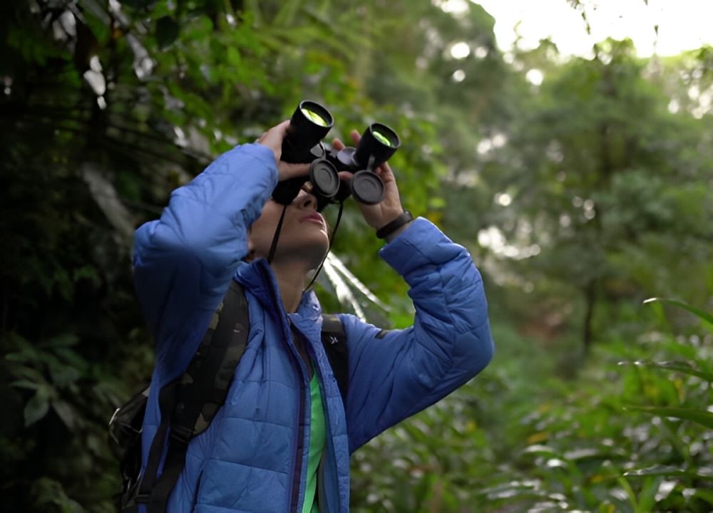 Ultimate Guide to Birdwatching in Goa