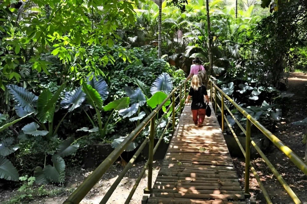 Spice Plantations in Goa