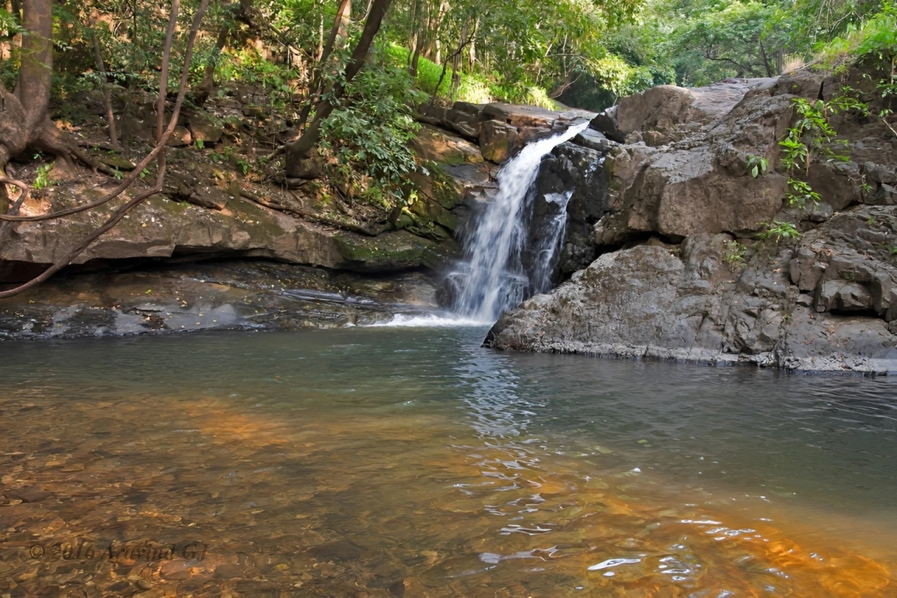 Talde Waterfall in Goa