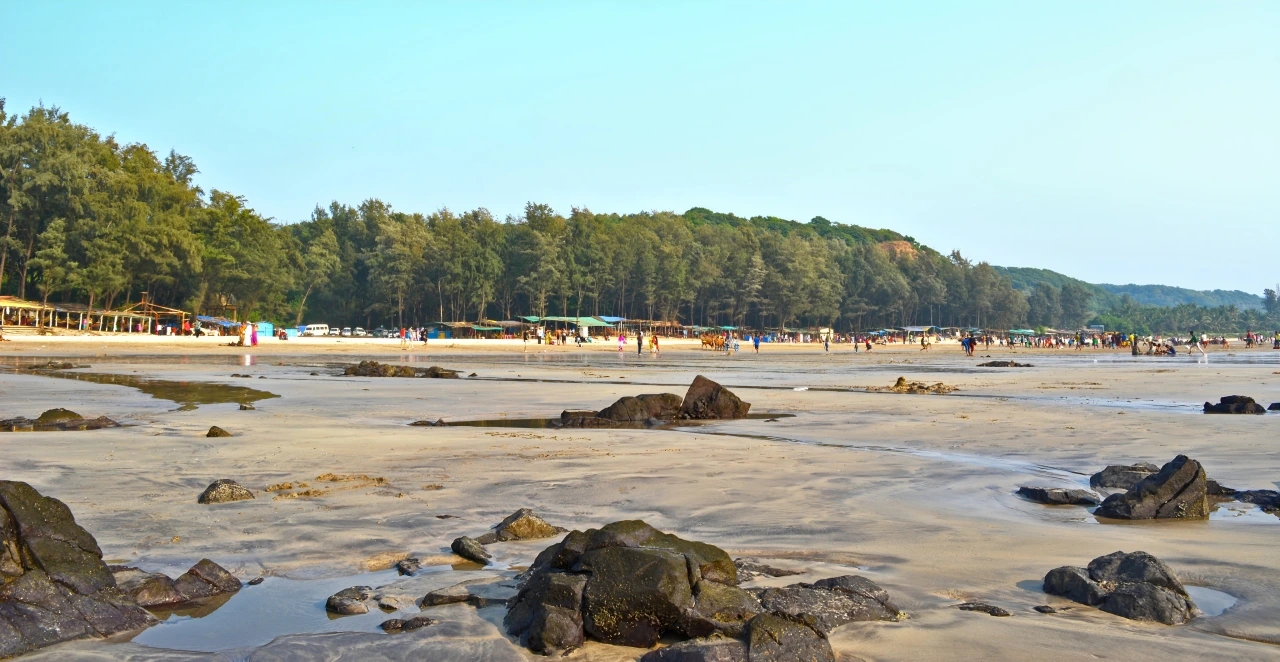Arambol Beach 