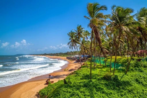Beautiful beach in North Goa Sinquerim