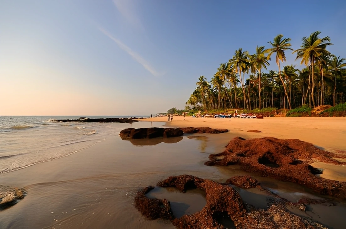 Morjim Beach - Best North Goa Area