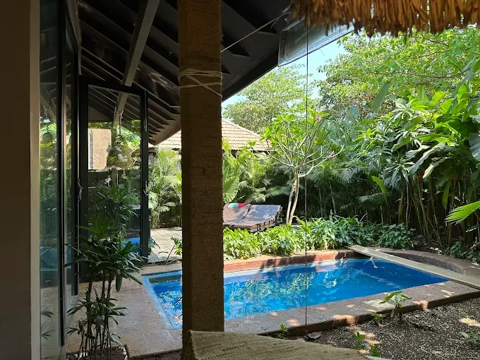 Pool resort in Morjim - Red Thread