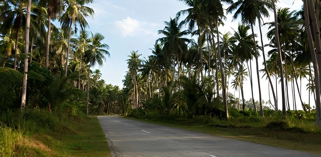 Empty Road in Goa