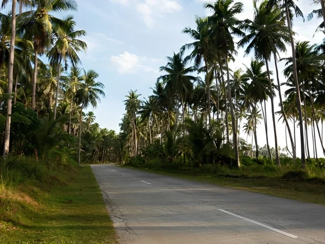 Empty Road in Goa