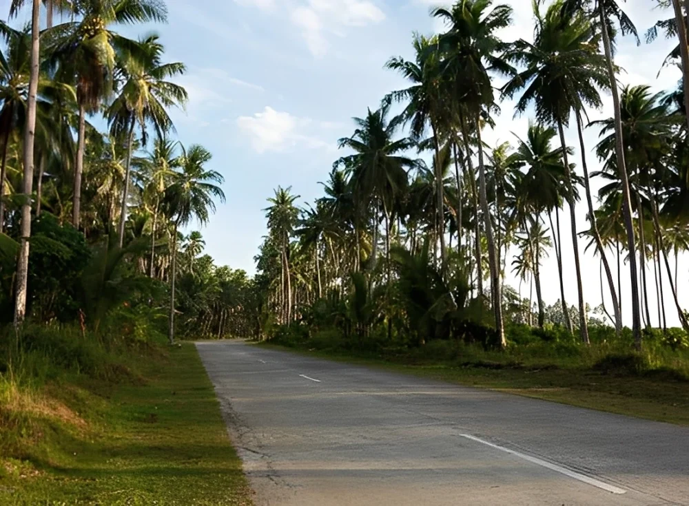 Empty Road in Goa