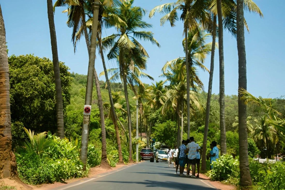Scenic Drives in Goa